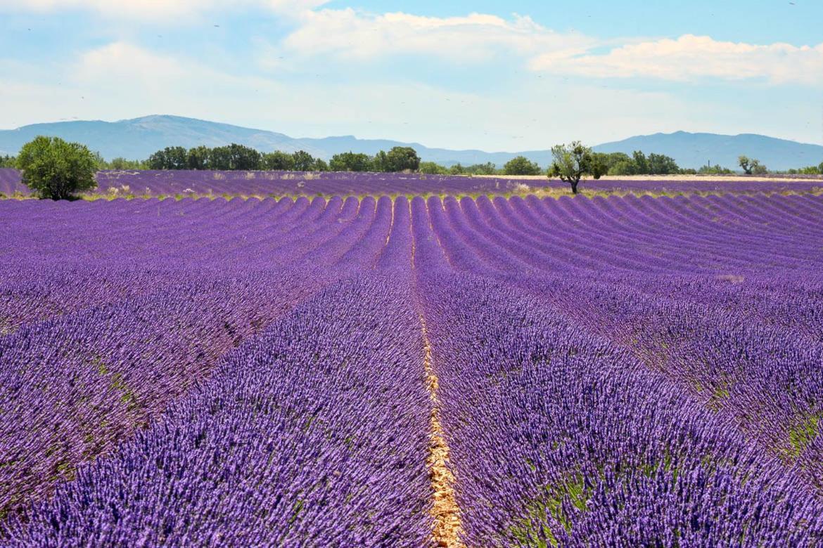 Roulotte Bohemian Lover In Provence, Valensole Buitenkant foto