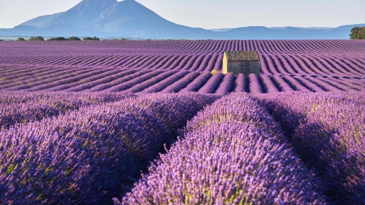 Roulotte Bohemian Lover In Provence, Valensole Buitenkant foto